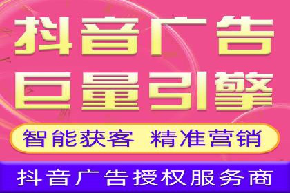 竞价托管服务案例解析